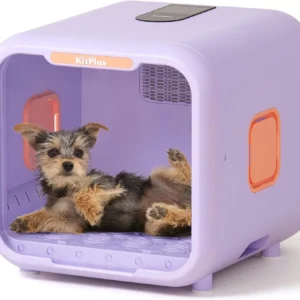 71L Ultra Quiet Pet Dryer Box for Dogs & Cats, Smart Temp Control, Ambient Light & Lock, Large Capacity Hair Dryer Box