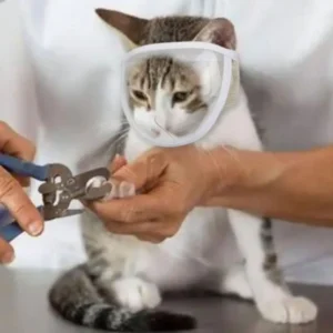 Transparent Cat Muzzle Breathable Dogs Cats Bathing Grooming Tools Anti Bite Puppy Kitten Muzzles Mask Pet Product Adjustable