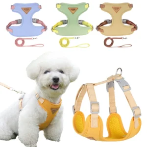 Puppy Harness and Leash Set, Breathable Pet Harness for Small and Medium-Sized Dogs and Cats, French Bulldog
