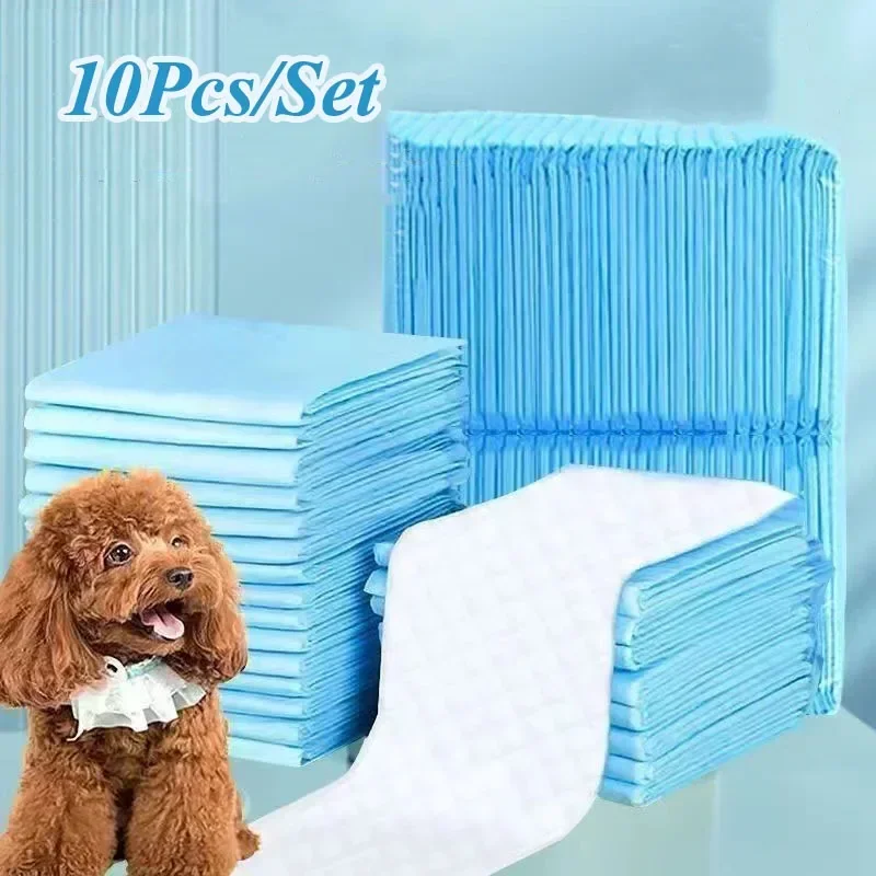 Super Absorbent Pet Diaper Training Pee Pads Urine Nappy Mat Cats Dog Diapers Mat Disposable Quickdry Clean Cushion Pet Supplies - Image 2