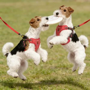 Explosion Proof Dog Leash Lightweight Adjustable Dog Chest and Back Walking Harness Leash Vest Style Puppy Dog Outdoor Supplies