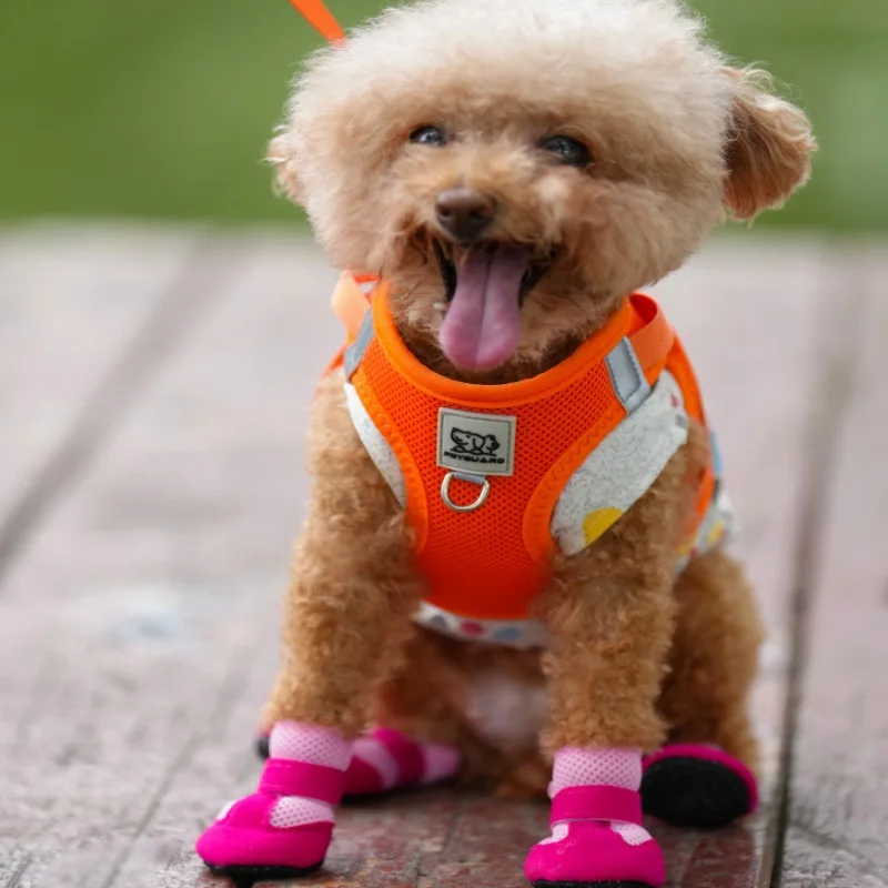 How Chew Toys Support Healthy Teeth and Gums