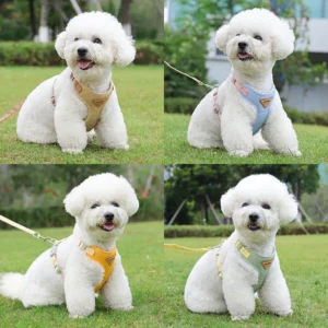 Breathable Pet Harness and Leash Set for Small Medium Dogs Cats French Bulldog Chihuahua Poodle Puppy Walking Supplies