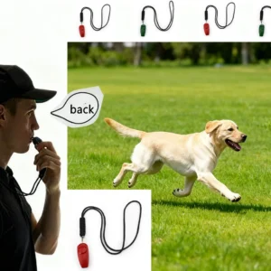 Professional High-Frequency Dog Whistle Clicker Effectively Stop Barking Recall Training for Hunting Pet Obedience Pitch Recall